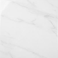 Polished porcelain