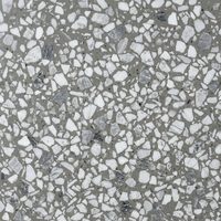 Polished terrazzo